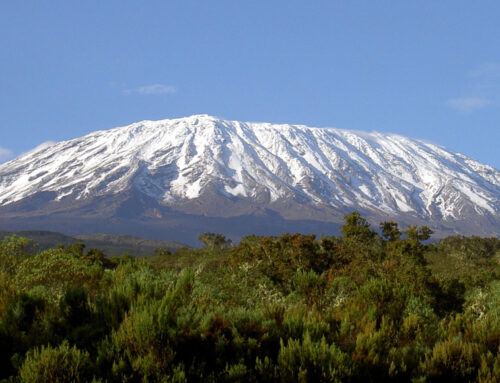 Raising Kilimanjaro