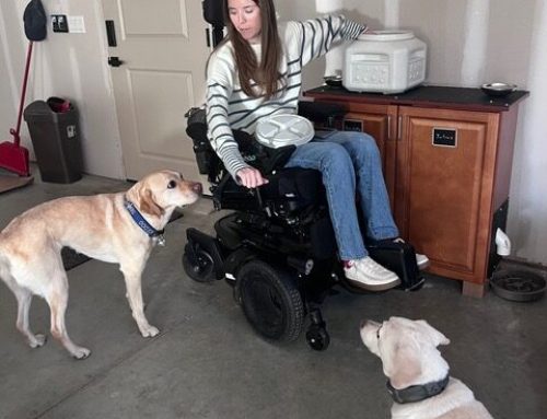 Sometimes Even a Simple Solution Means Everything: Building a Better Dog Feeder